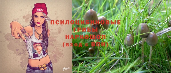 не бодяженный Абаза
