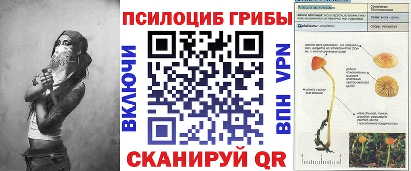 Псилоцибиновые грибы Psilocybine cubensis  MEGA   Вытегра 